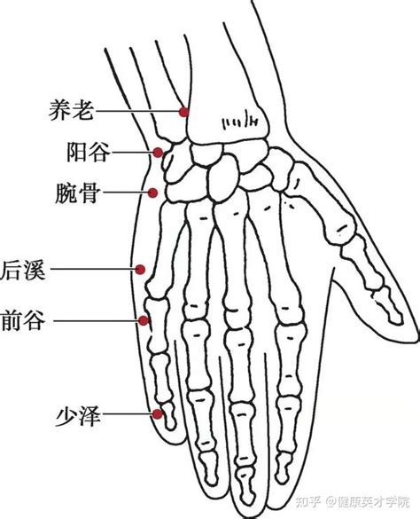 潛穴|潛穴的意思